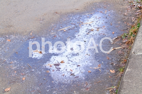 凍った水たまり 凍った水たまりの写真