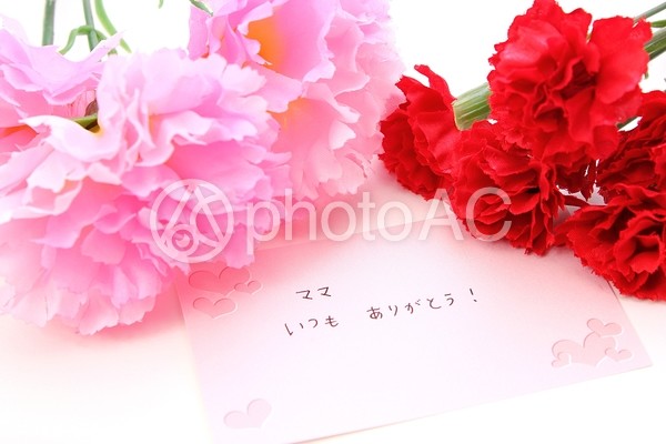母の日12 母の日12の写真