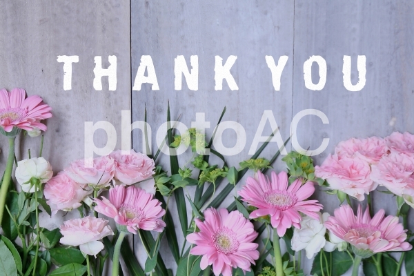 THANK YOU THANK YOUの写真