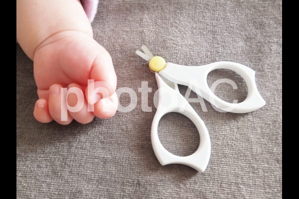 赤ちゃん用の爪切り 1 赤ちゃん用の爪切り 1の写真
