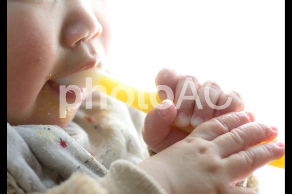 離乳食を食べる赤ちゃん 離乳食を食べる赤ちゃんの写真