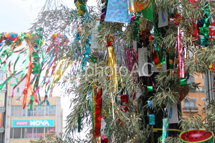 七夕と七夕飾り No 写真素材なら 写真ac 無料 フリー ダウンロードok