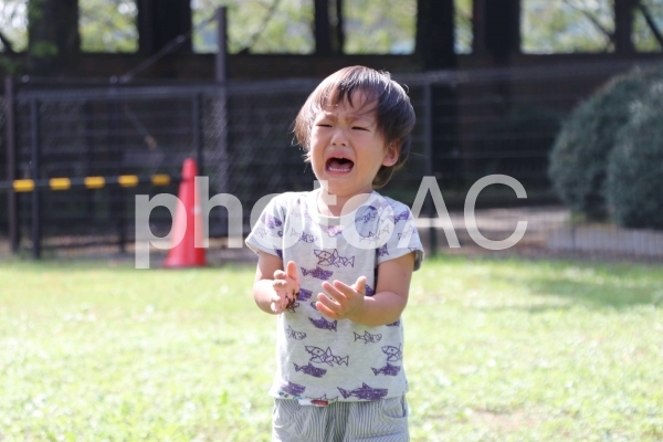 癇癪をおこす幼児 癇癪をおこす幼児の写真
