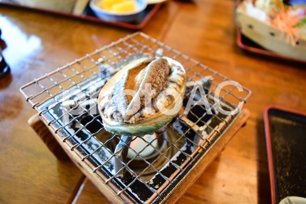 アワビ アワビの写真