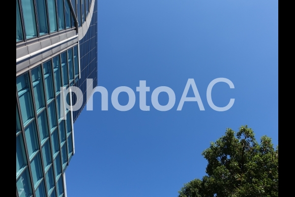 ビル 青空 樹木 No 写真素材なら 写真ac 無料 フリー ダウンロードok