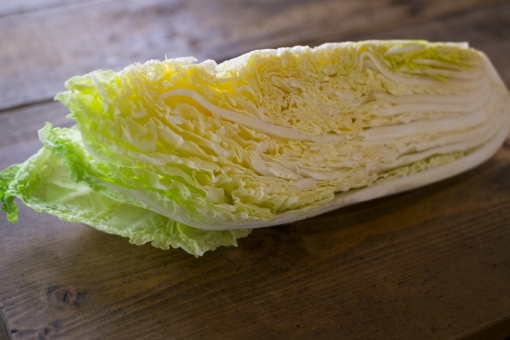 ãac åç ç½èãã®ç»åæ¤ç´¢çµæ