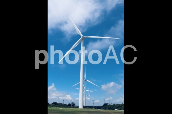 風力発電 風力発電の写真