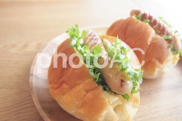 ホットドック ホットドックの写真
