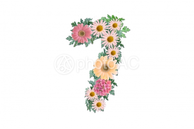 花数字7 No 写真素材なら 写真ac 無料 フリー ダウンロードok