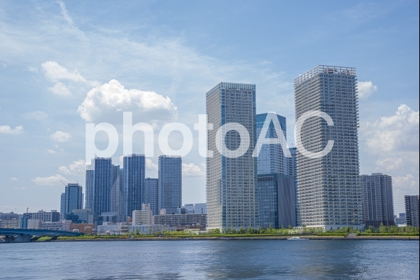 豊洲のビル群 豊洲のビル群の写真