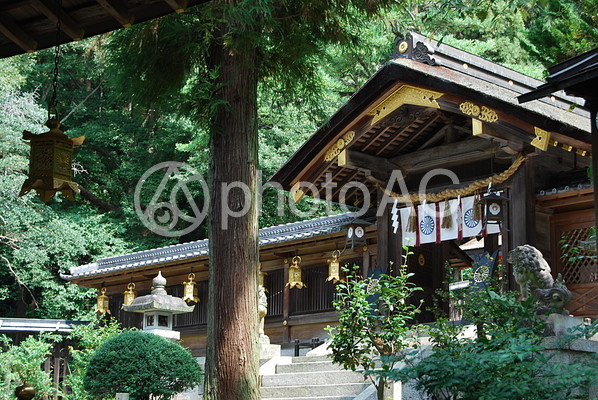 枚岡神社 拝殿1 枚岡神社 拝殿1の写真