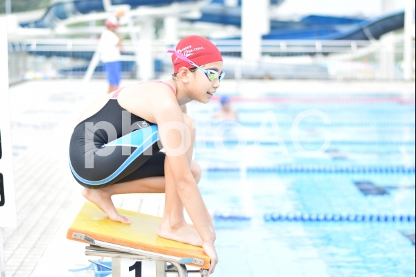 飛び込み台の水泳選手 No 6258 写真素材なら 写真ac 無料 フリー ダウンロードok