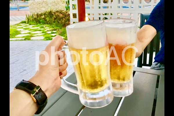 ビールで乾杯! ビールで乾杯!の写真