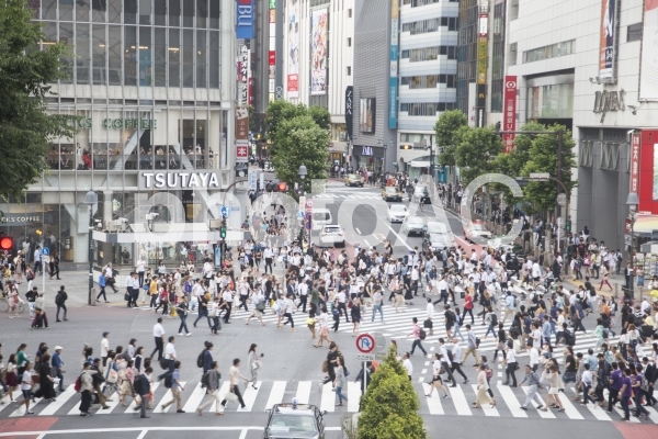 渋谷スクランブル交差点 渋谷スクランブル交差点の写真
