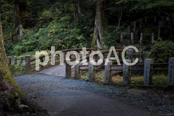 大雄山最乗寺の怪しい森と橋 No 写真素材なら 写真ac 無料 フリー ダウンロードok