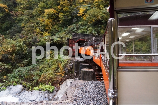黒部峡谷トロッコ電車 黒部峡谷トロッコ電車の写真