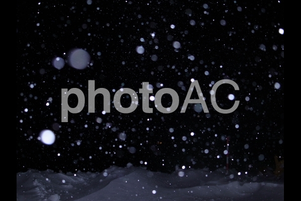雪 雪の写真