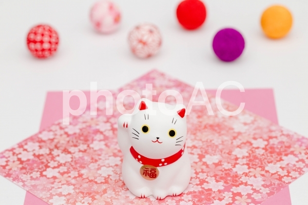 招き猫 招き猫の写真