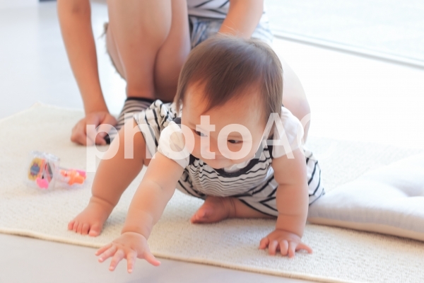 遊び始める赤ちゃん 遊び始める赤ちゃんの写真