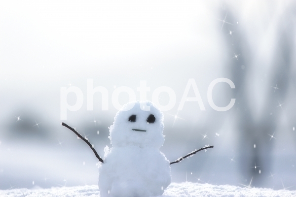 雪だるま No 318914 写真素材なら 写真ac 無料 フリー ダウンロードok