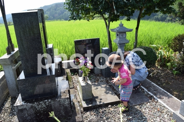 墓参り 墓参りの写真
