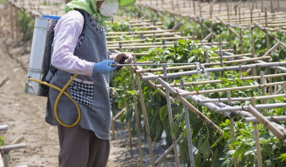 ãac åçãè¾²è¬ãã®ç»åæ¤ç´¢çµæ