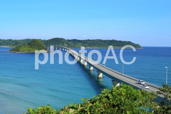 角島大橋6 角島大橋6の写真