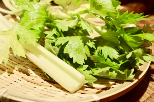 「ac 写真 セロリ」の画像検索結果