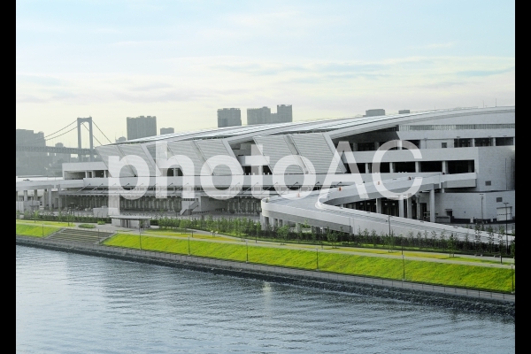 豊洲市場 豊洲市場の写真