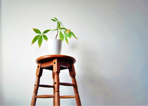 観葉植物 スツール パキラ グリーン 木目 雑誌,室内,ネイル,リフォーム,DIY,壁,インテリア,写真,床,茶,木,建築,加工,背景,茶色,アメリカ,板,木目,洋風,内装,ヨーロッパ,壁紙,イメージ,ウッド,デザイン,アンティーク,柄,リノベーション, 観葉植物 スツール パキラ グリーン 木目 雑誌,室内,ネイル,リフォーム,DIY,壁,インテリア,写真,床,茶,木,建築,加工,背景,茶色,アメリカ,板,木目,洋風,内装,ヨーロッパ,壁紙,イメージ,ウッド,デザイン,アンティーク,柄,リノベーション,の写真