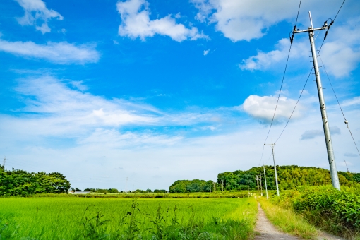 田舎道の写真素材 写真素材なら 写真ac 無料 フリー ダウンロードok