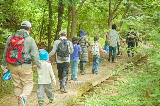 自然 植物 木 樹木 幹 枝 葉 葉っぱ 緑 茶色 林 森 森林 山 山奥 アップ 育つ 成長 伸びる 密集 集まる 沢山 多い 地面 土 人物 老若男女 男性 女性 男の子 女の子 子供 大人 キャンプ 散歩 山登り 散策 歩く 通路 木板 道 山道 風景 景色 室外 屋外