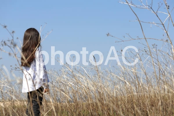 枯れた草原に立つ少女 枯れた草原に立つ少女の写真