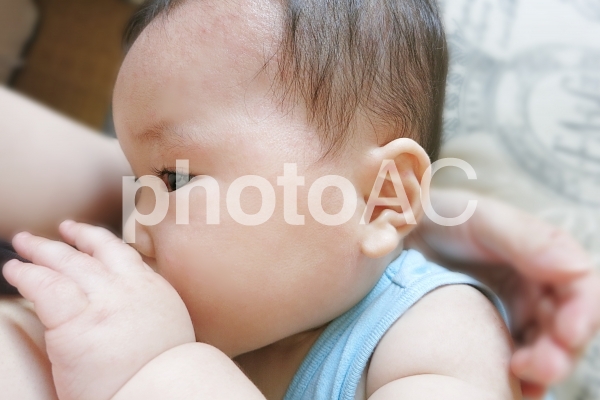母乳を飲む赤ちゃん 2 母乳を飲む赤ちゃん 2の写真