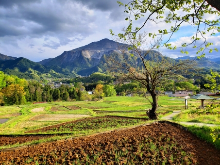 寺坂棚田から見た新緑の武甲山 3(埼玉県秩父郡横瀬町・寺坂棚田)beautiful rice terraces in Terasaka tanada and the mountain on the back is Mt. Buko. 寺坂棚田から見た新緑の武甲山 3(埼玉県秩父郡横瀬町・寺坂棚田)beautiful rice terraces in Terasaka tanada and the mountain on the back is Mt. Buko.の写真