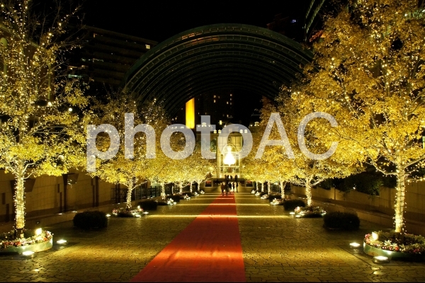 Xmasイルミネーション-130 Xmasイルミネーション-130の写真