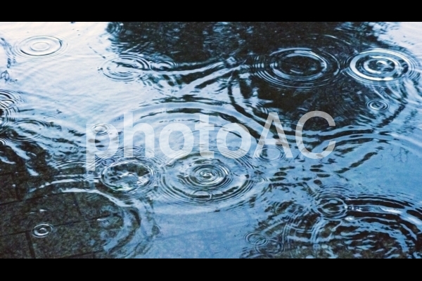地面に広がる雨の足跡 #2 地面に広がる雨の足跡 #2の写真
