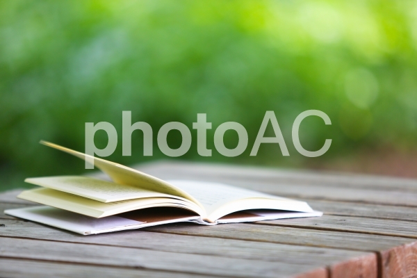 屋外で読書 屋外で読書の写真