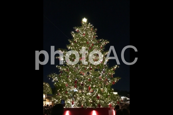 大きなクリスマスツリーとイルミネーション 大きなクリスマスツリーとイルミネーションの写真