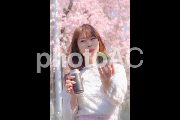 おにぎりとお花見と女性 おにぎりとお花見と女性の写真