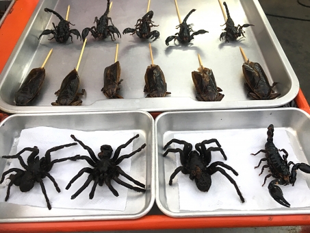 タガメ シルエット イラストの無料ダウンロードサイト シルエットac