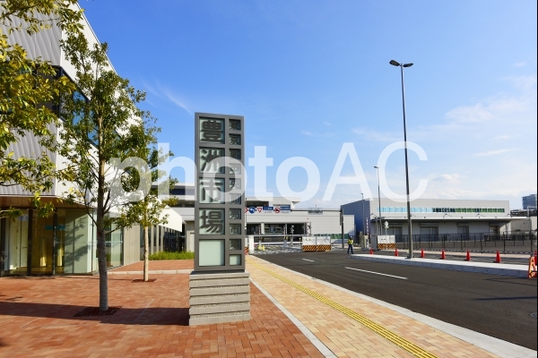豊洲市場 青果門と青果棟 豊洲市場 青果門と青果棟の写真