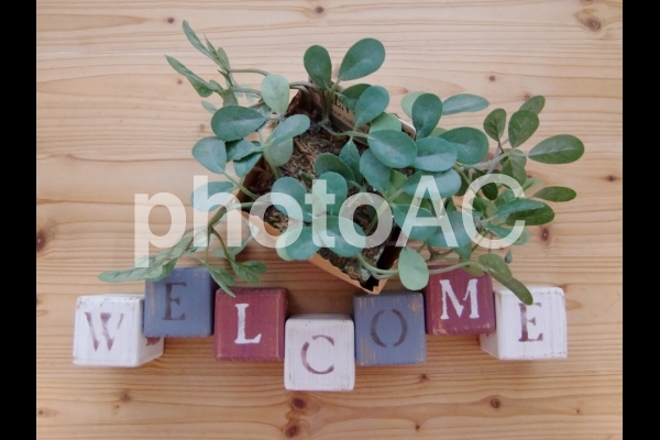 ステンシル WELCOME ステンシル WELCOMEの写真