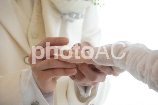指輪交換 指輪交換の写真