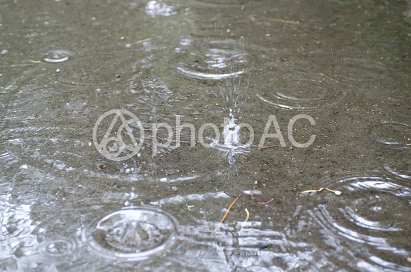 雨の波紋3 雨の波紋3の写真