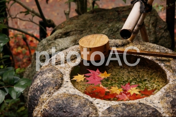 風情のある紅葉2 風情のある紅葉2の写真
