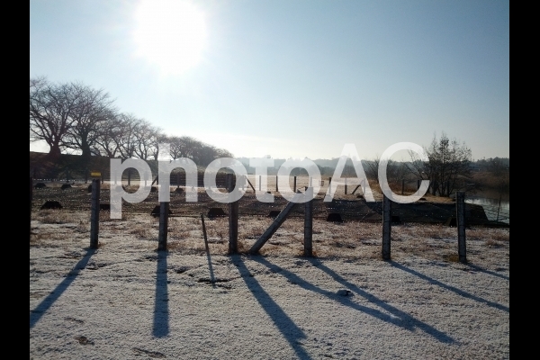 雪の朝 雪の朝の写真