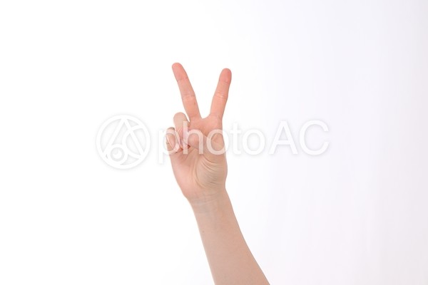 ハンドパーツ2 ハンドパーツ2の写真