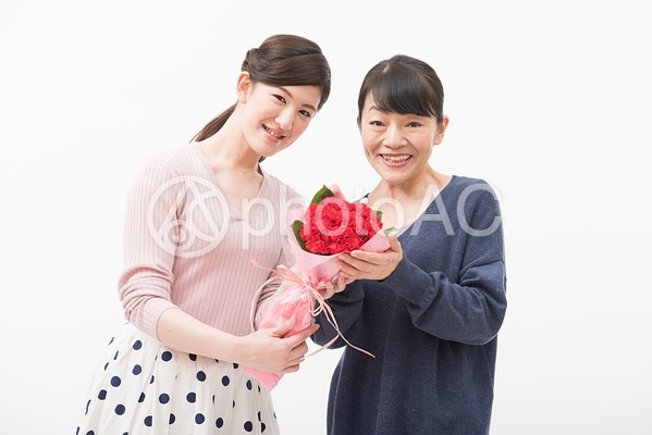 うちはうまくいってます1 うちはうまくいってます1の写真