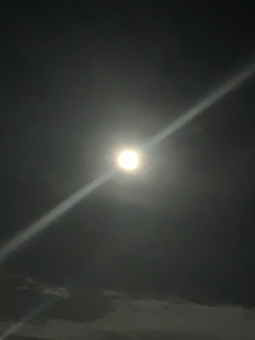 月光の写真素材 写真素材なら 写真ac 無料 フリー ダウンロードok